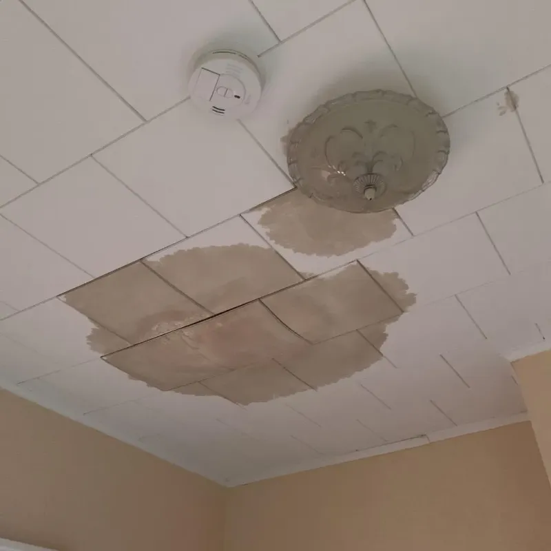 Ceiling Water Damage Repair in Orrville, OH