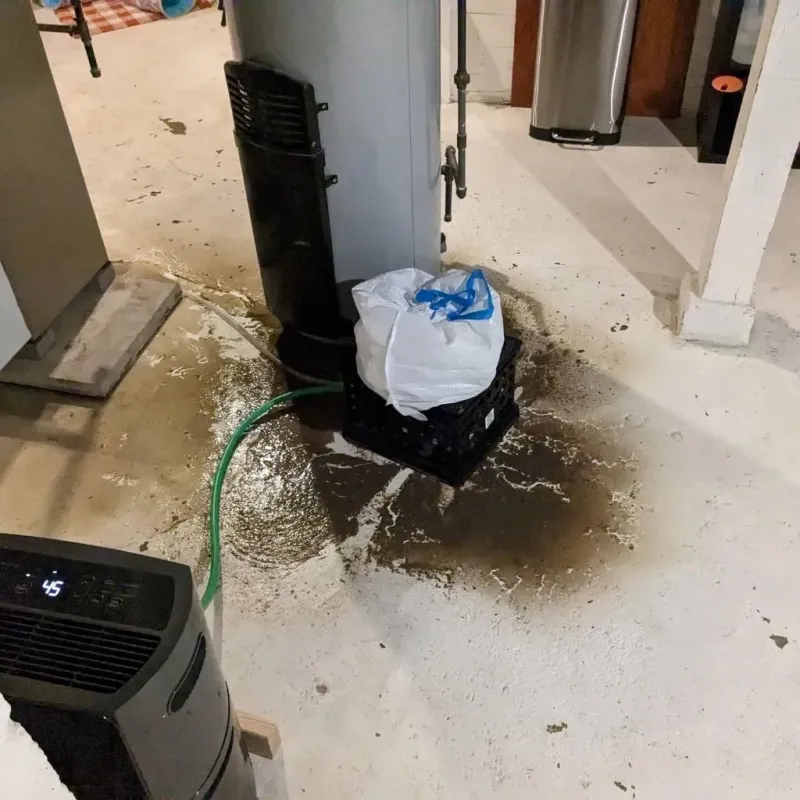 Sewage Backup Cleanup Service in Orrville, OH